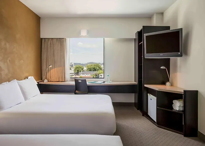 Ibis 3*