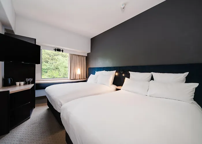 Ibis Hotel Rotorua