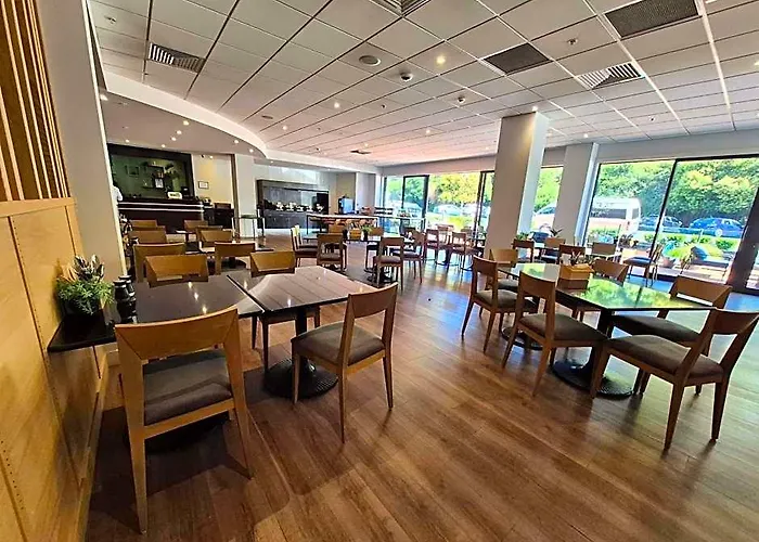 Ibis 3*