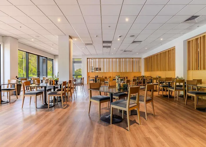 Ibis 3*
